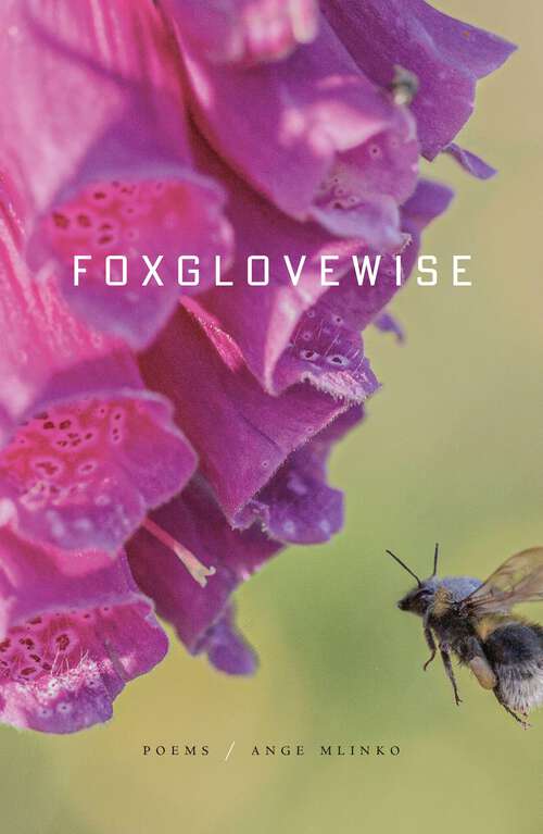 Book cover of Foxglovewise: Poems