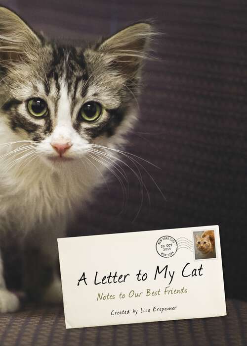 Book cover of A Letter to My Cat: Notes to Our Best Friends