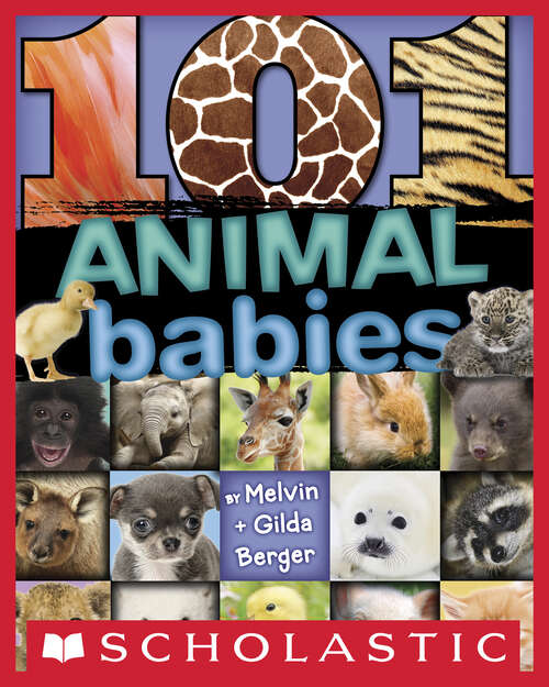 Book cover of 101 Animal Babies (101 Animal... (preboud) Ser.)