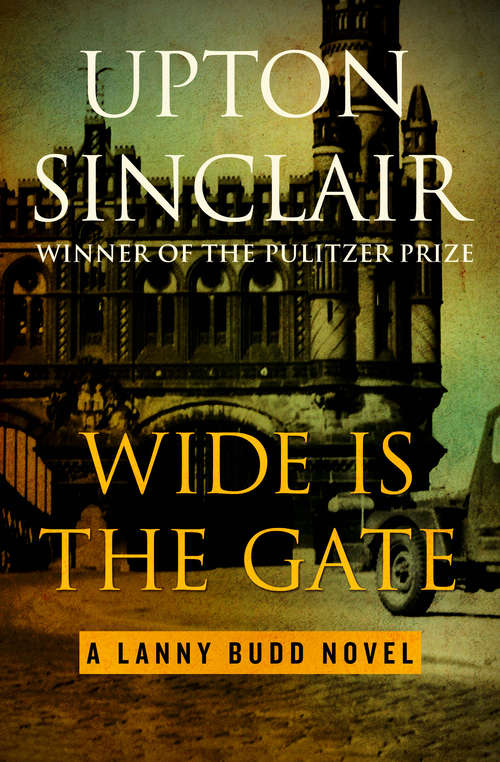 Book cover of Wide Is the Gate