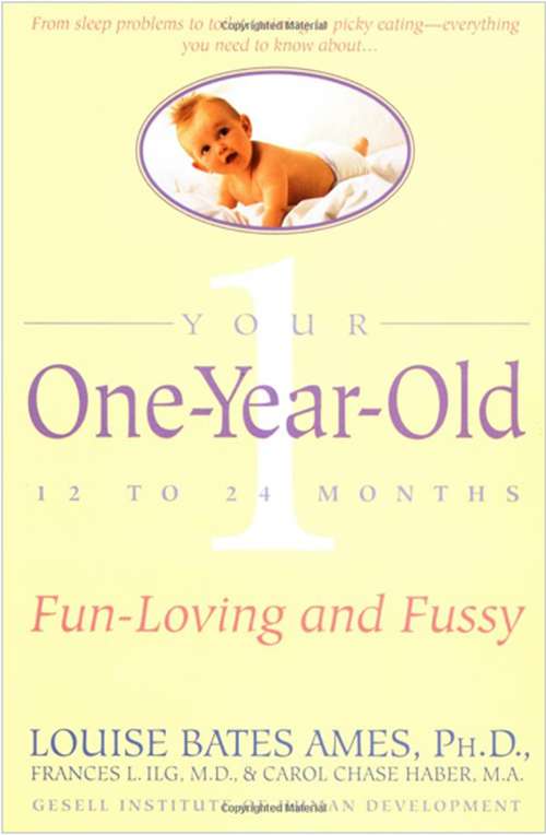 Your One-Year-Old: The Fun-Loving, Fussy 12-To 24-Month-Old
