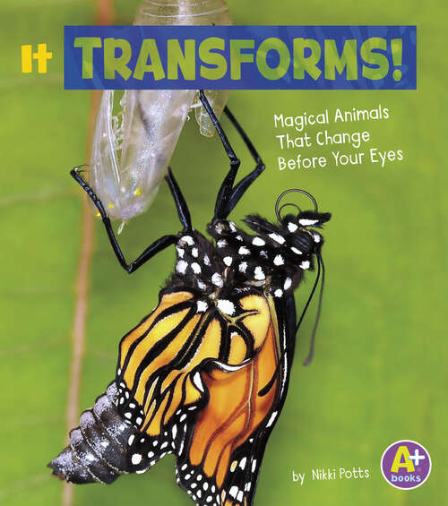 Book cover of It Transforms!: Magical Animals That Change Before Your Eyes (Magical Animals Ser.)