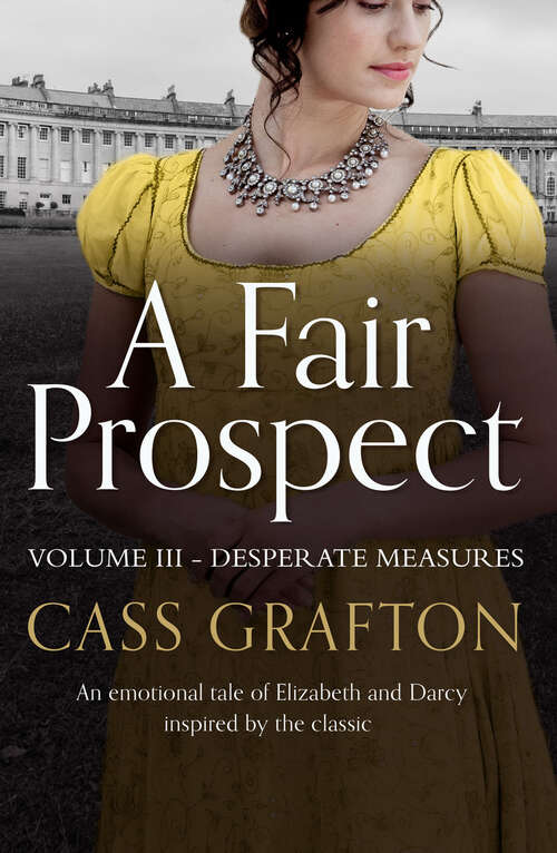 Book cover of A Fair Prospect: Desperate Measures