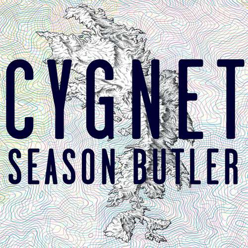 Book cover of Cygnet: 'A clear-sighted, poignant rumination on loneliness, love, the melancholy of age'