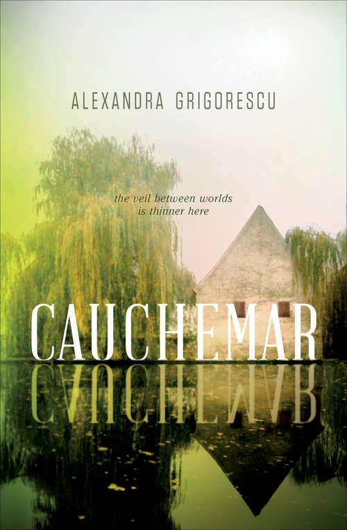 Book cover of Cauchemar