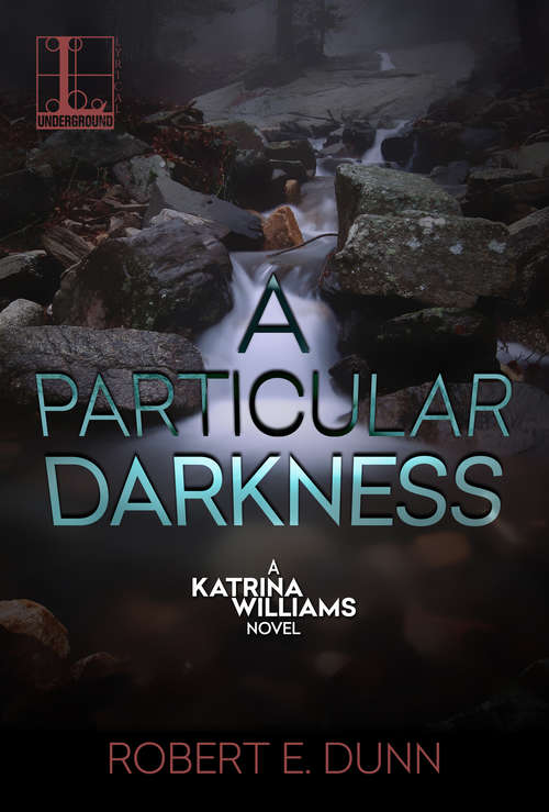 Book cover of A Particular Darkness (A Katrina Williams Novel #2)