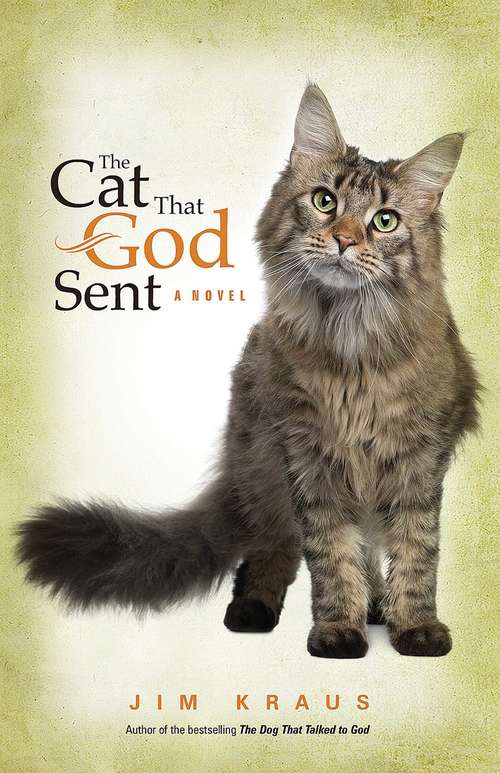 Book cover of The Cat That God Sent