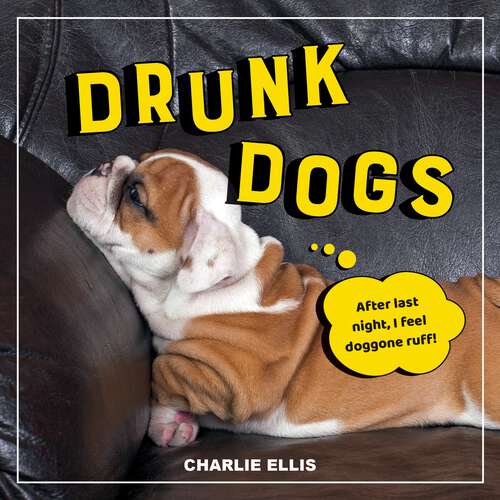 Drunk Dogs: Hilarious Pics of Plastered Pups
