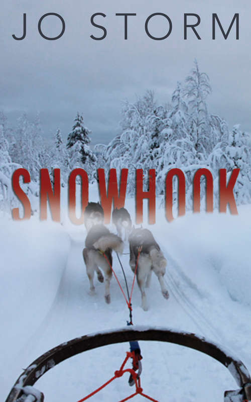 Book cover of Snowhook