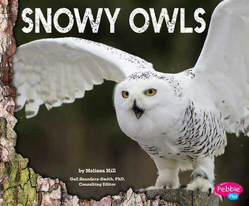 Book cover of Snowy Owls (Owls Ser.)