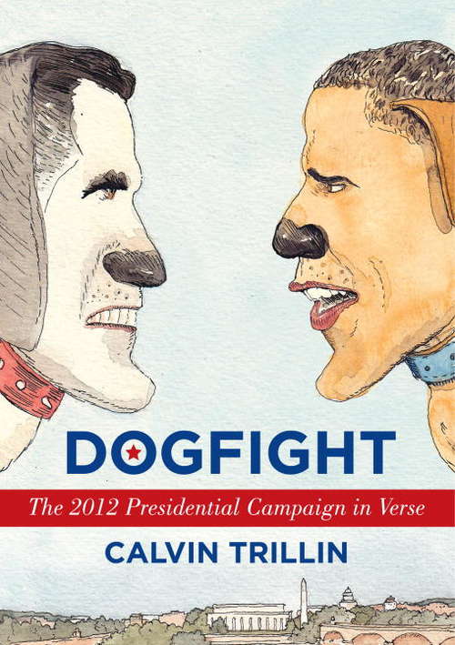 Book cover of Dogfight