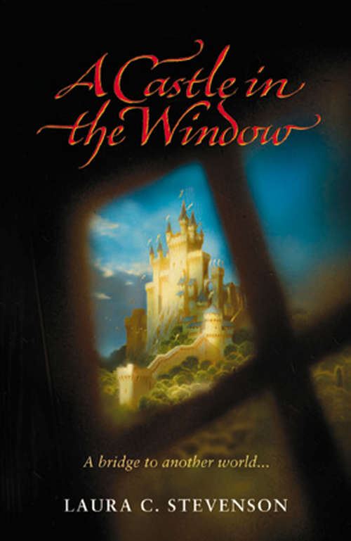 Book cover of Castle In The Window