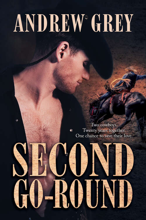 Book cover of Second Go-Round