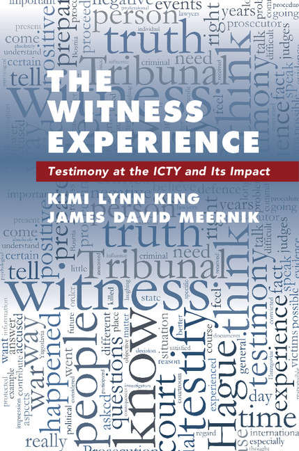 Book cover of The Witness Experience: Testimony at the ICTY and Its Impact