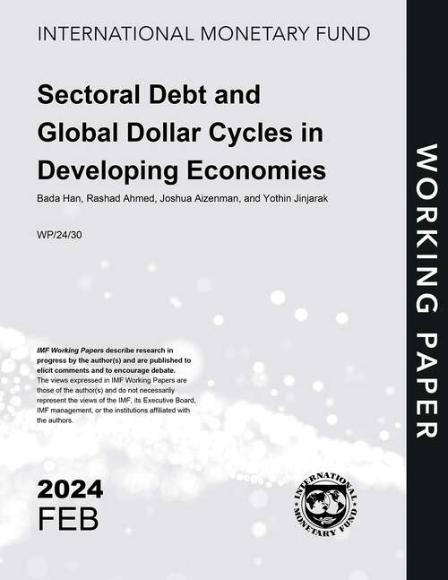 Book cover of Sectoral Debt and Global Dollar Cycles in Developing Economies
