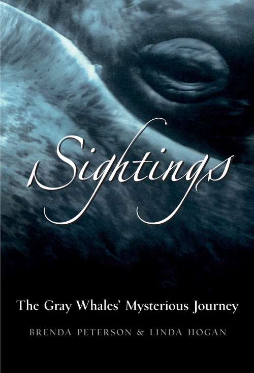 Sightings: The Gray Whales' Mysterious Journey