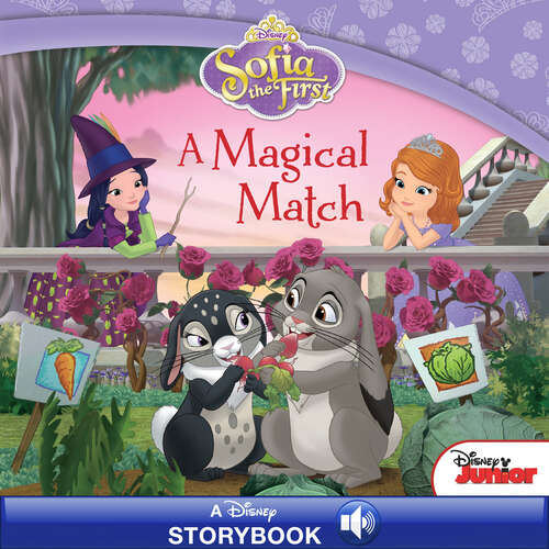 Book cover of Sofia the First: Magical Match