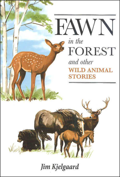 Book cover of Fawn in the Forest: And Other Wild Animal Stories