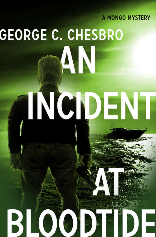 Book cover of An Incident at Bloodtide (Mongo Mystery #12)