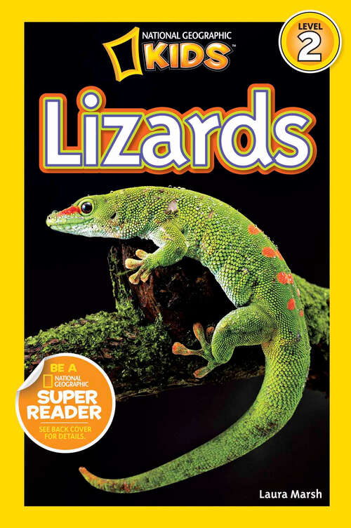 Book cover of Lizards (Readers)