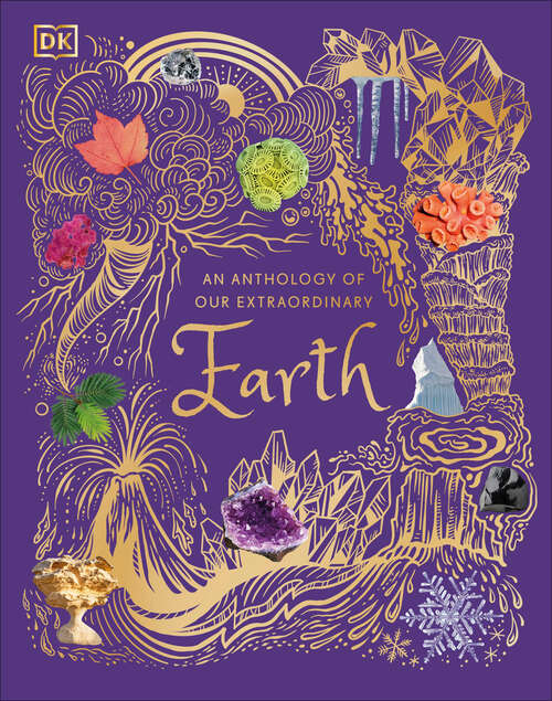 Book cover of An Anthology of Our Extraordinary Earth (DK Children's Anthologies)