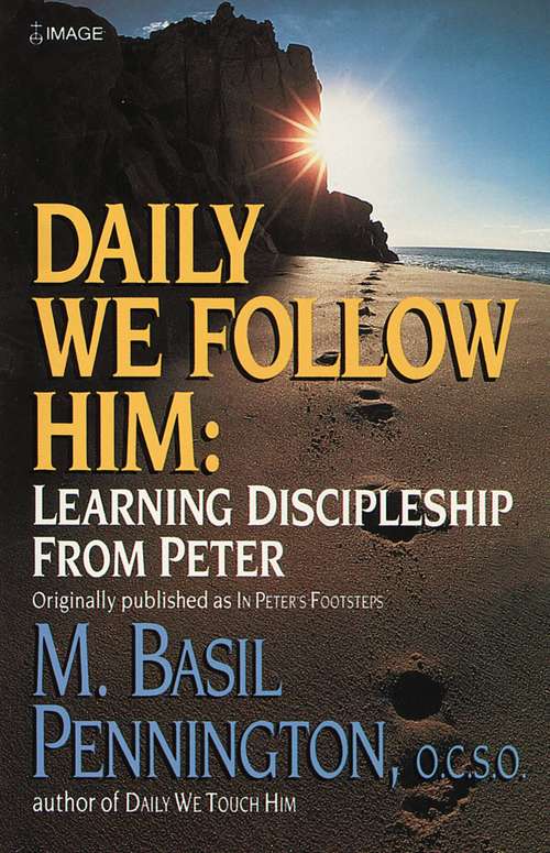 Book cover of Daily We Follow Him