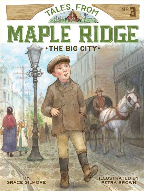 Book cover of The Big City