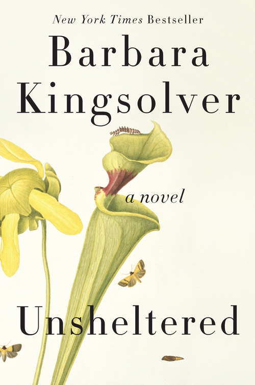 Book cover of Unsheltered: A Novel