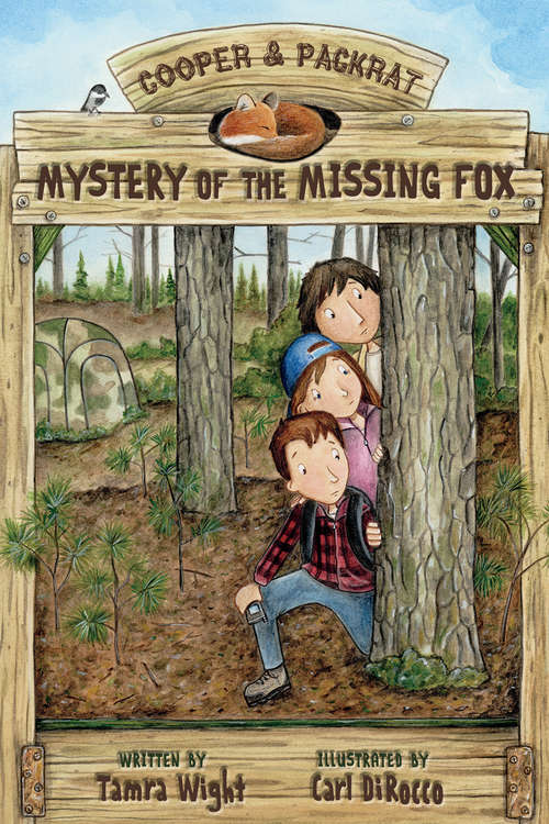Book cover of Mystery of the Missing Fox