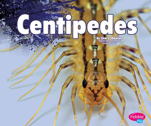 Book cover of Centipedes (Creepy Crawlers Ser.)