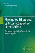 Myelinated Fibers and Saltatory Conduction in the Shrimp