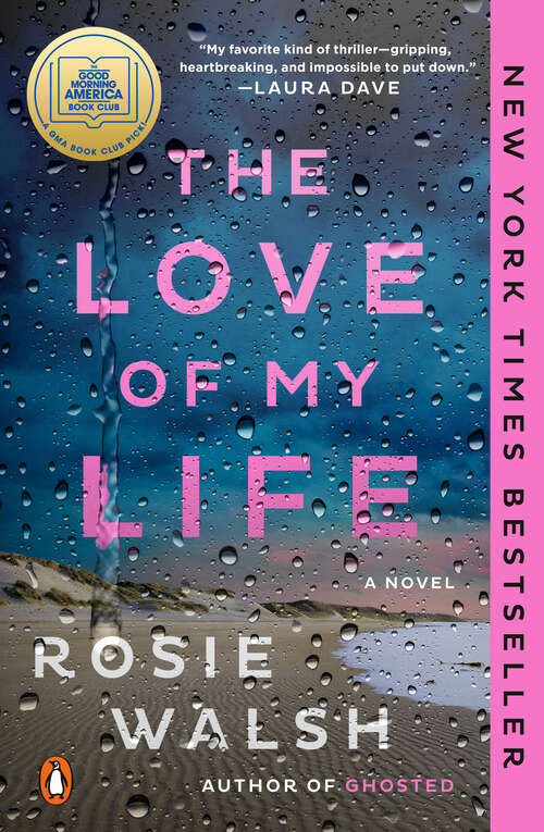 Book cover of The Love of My Life: A Novel
