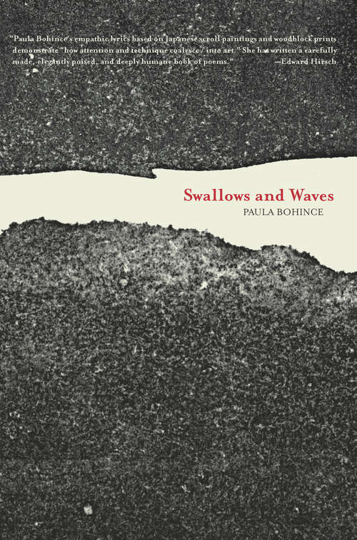 Book cover of Swallows and Waves