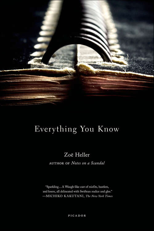Book cover of Everything You Know: A Novel