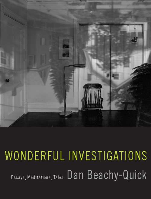 Book cover of Wonderful Investigations