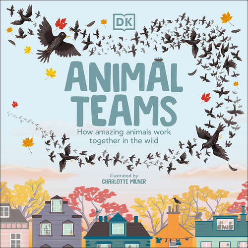 Book cover of Animal Teams: How Amazing Animals Work Together in the Wild
