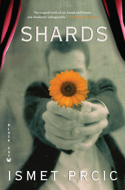 Book cover of Shards: A Novel