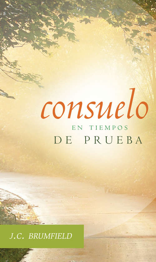Book cover of Consuelo en tiempos de prueba
