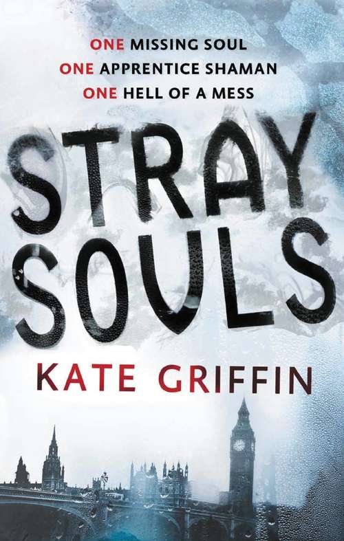 Book cover of Stray Souls
