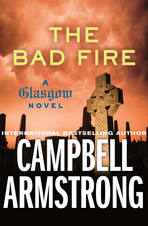 Book cover of The Bad Fire
