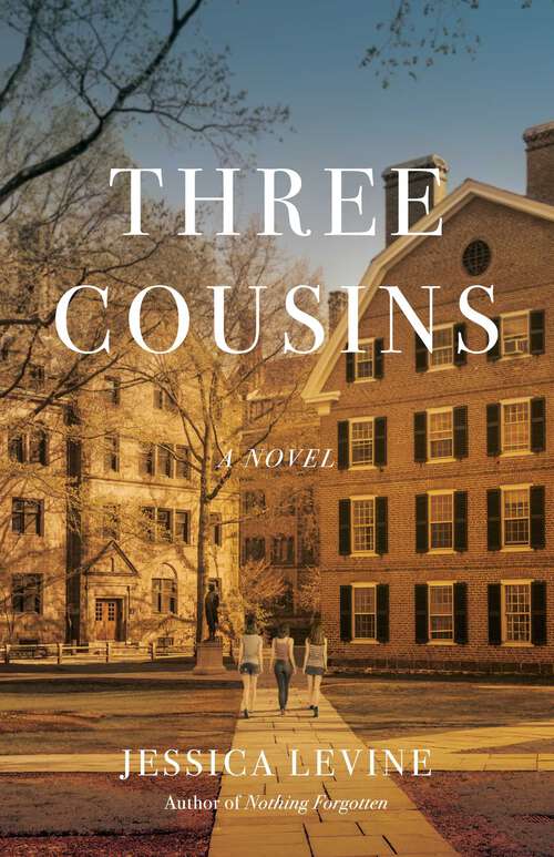 Book cover of Three Cousins: A Novel