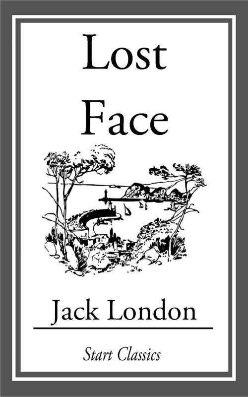 Book cover of Lost Face