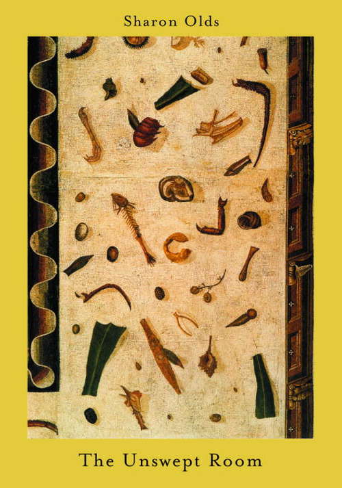 Book cover of The Unswept Room