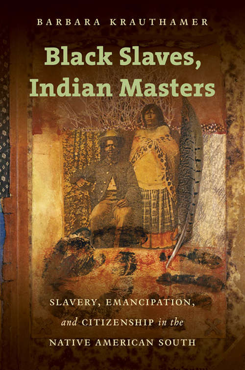 Book cover of Black Slaves, Indian Masters