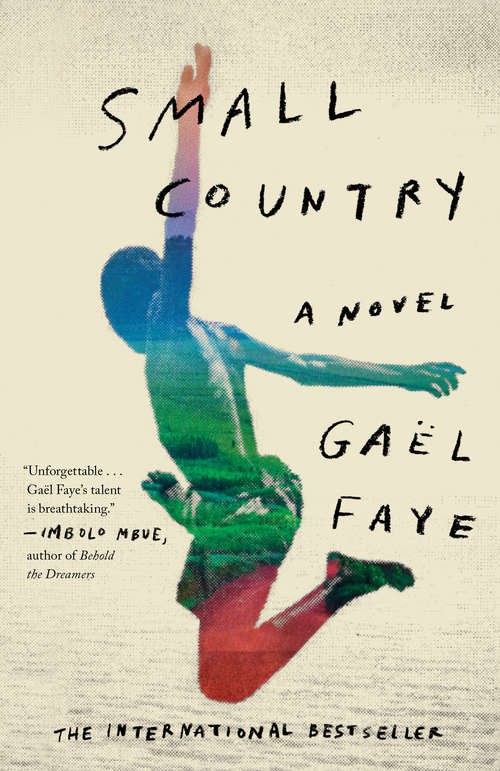 Small Country: A Novel