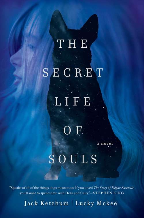 The Secret Life of Souls: A Novel
