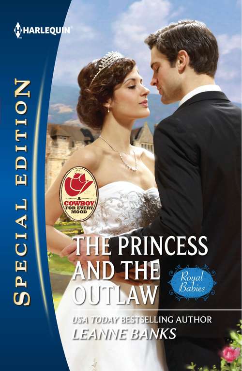 Book cover of The Princess and the Outlaw