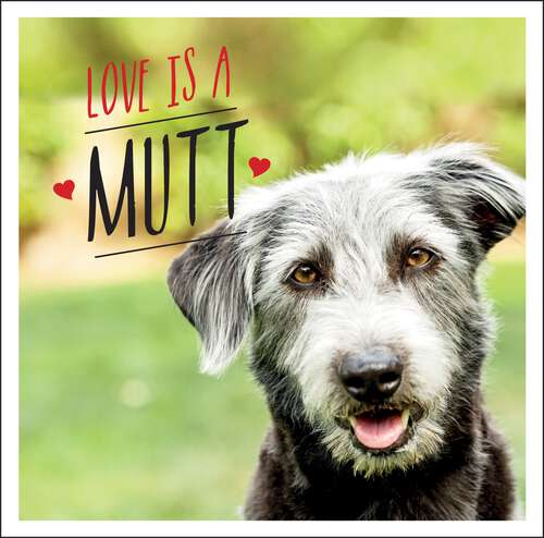 Love is a Mutt: A Dog-Tastic Celebration of the World's Cutest Mixed and Cross Breeds
