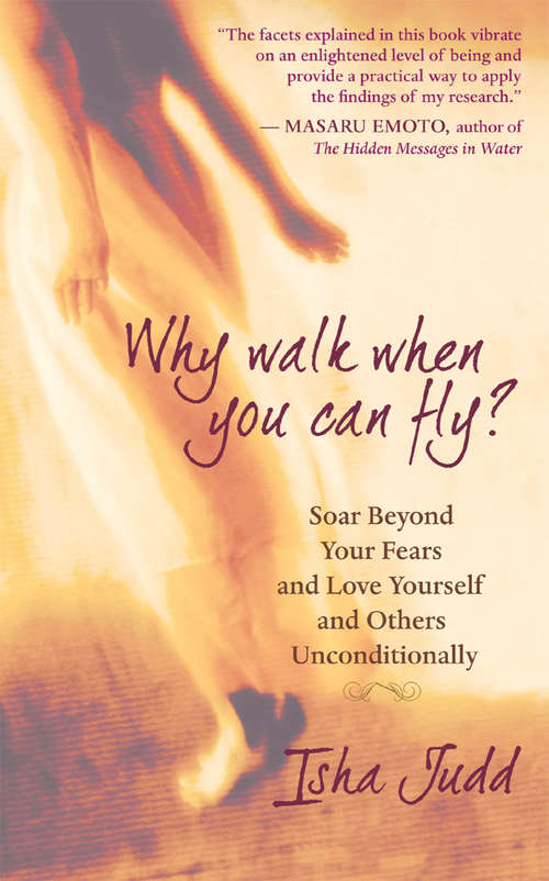 Book cover of Why Walk When You Can Fly?