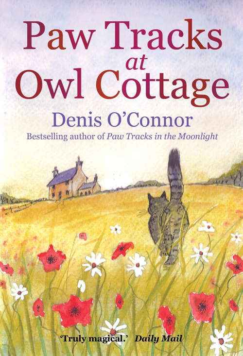 Book cover of Paw Tracks at Owl Cottage